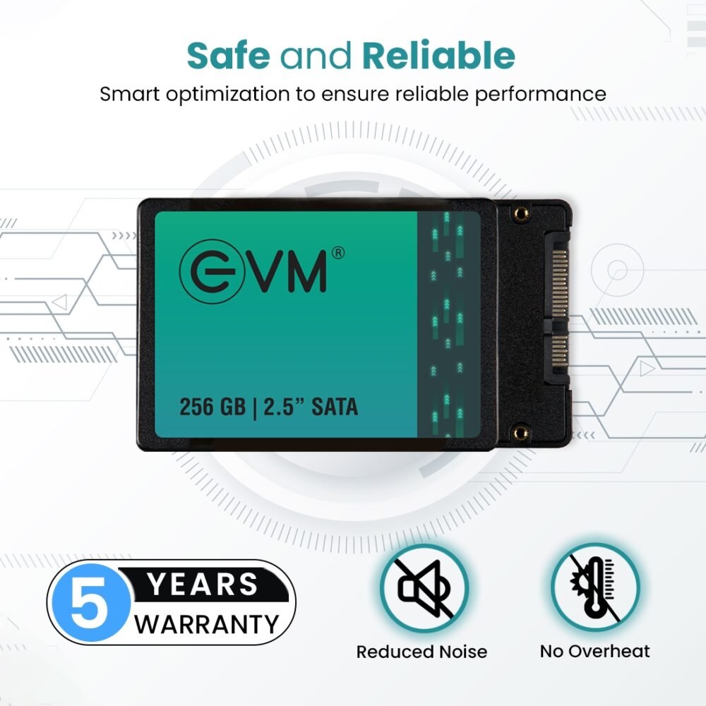EVM 256GB SSD, 2.5 Inch SATA - 3 Year Warranty - Image 5